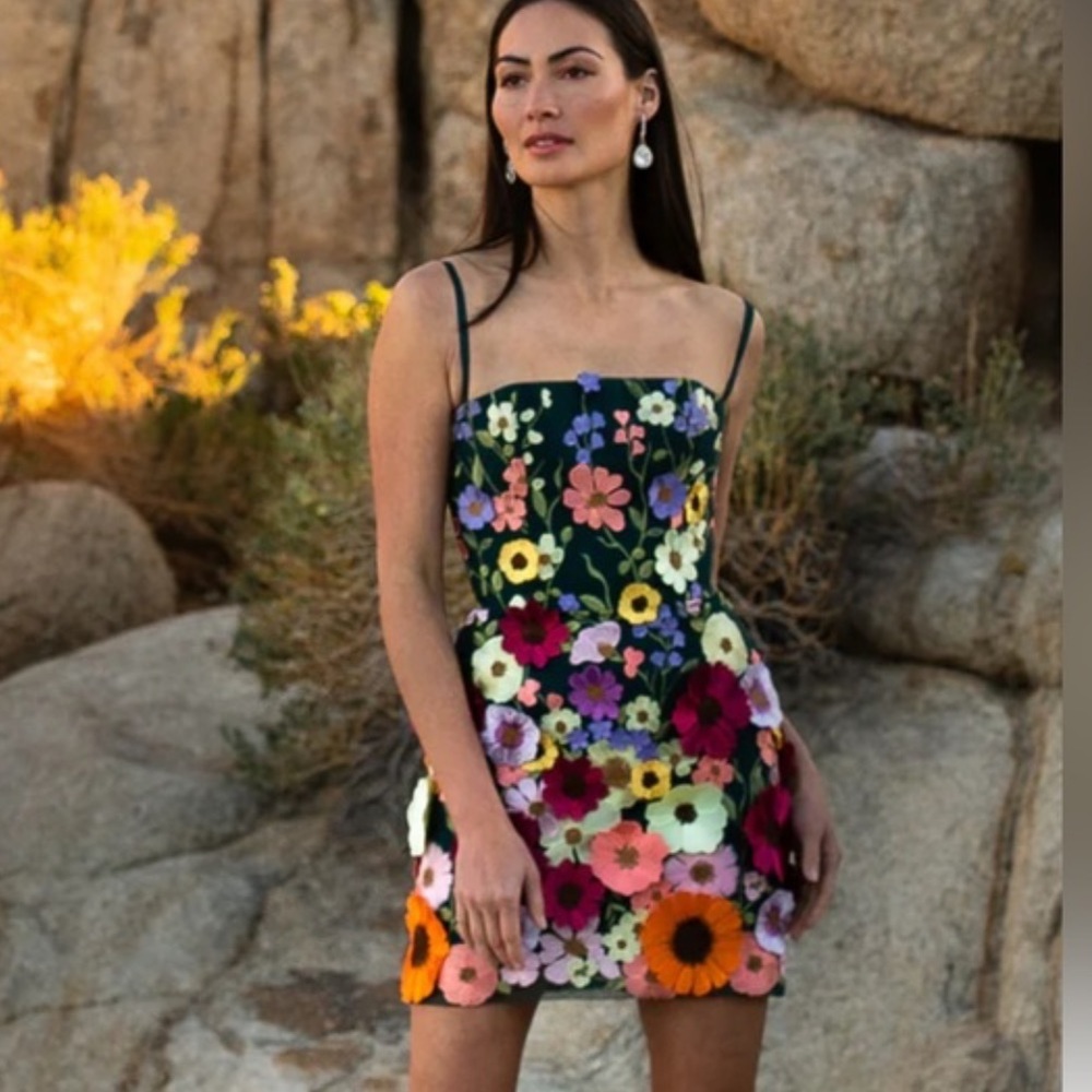 HELSI Hilma Floral Appliqué Mini Dress